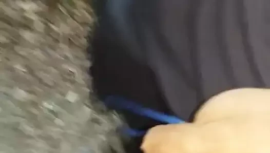 ormanda seyir ve boşalmak