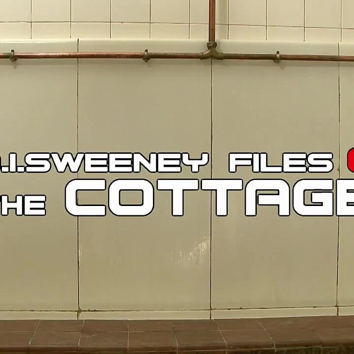 D.I.スウィーニー・ファイルズ - コテージ
