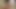 Obedient girl on her knees sucking dick