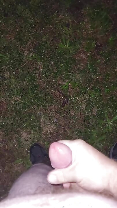 Almost Caught in a Park