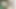 Is there any girl who will make a video with me, then contact me?