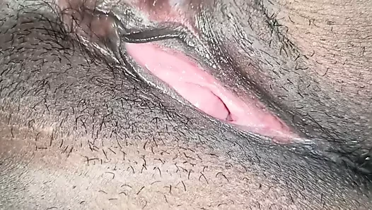 Indian pusy