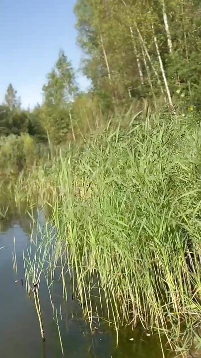 Trans djevojka pliva u jezeru u plavoj sportskoj haljini. Wetllok trans djevojka mokra.