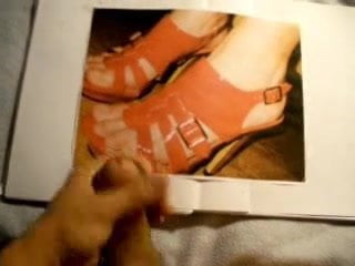My Tribute To toes73