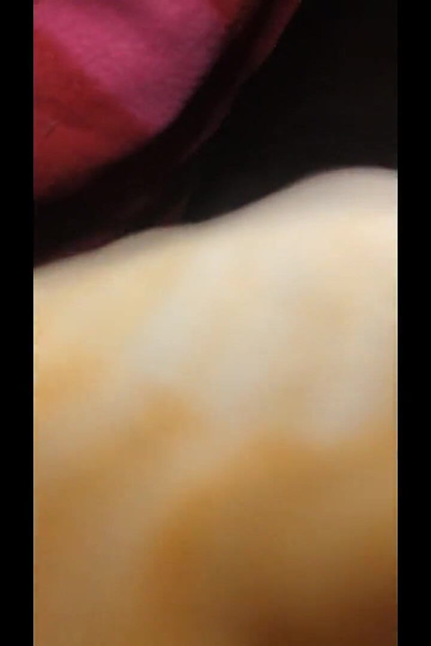 Desi Bhabhi's Ass Hit Hindi