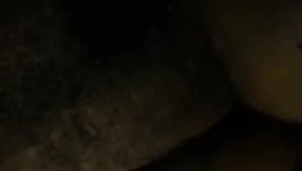 KEDİ oyun