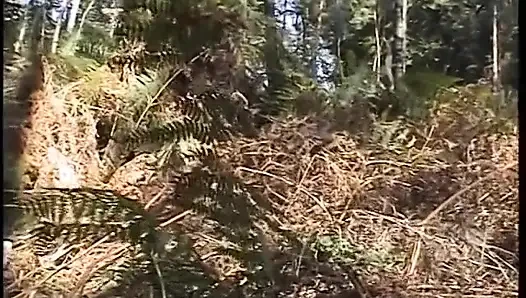 Kızıl saçlı piliç açık havada amıyla oynuyor