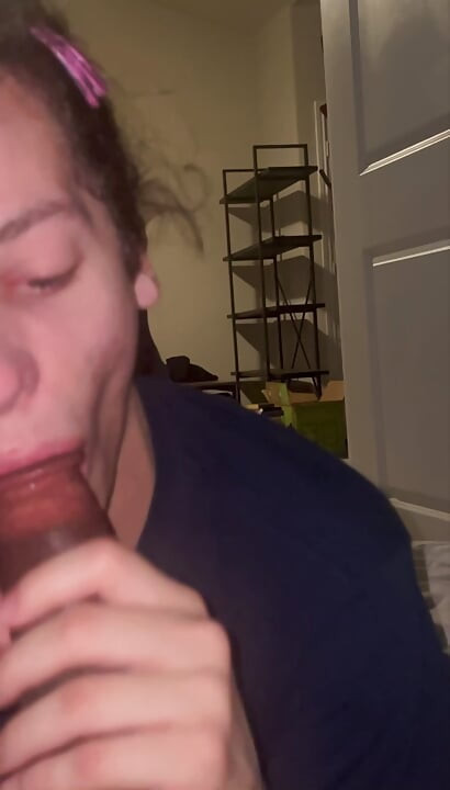 Plavooka slatkica sisa na velikom crnom