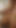 Arkadaşımın telefonunda porno buldum. Ona nasıl yapacağını gösterdim. | Klip 1