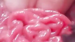 Ecco come si presenta un bocciolo di rosa