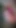 AngelaWhiti video