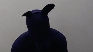 Zentai dog penis femdom slave pee