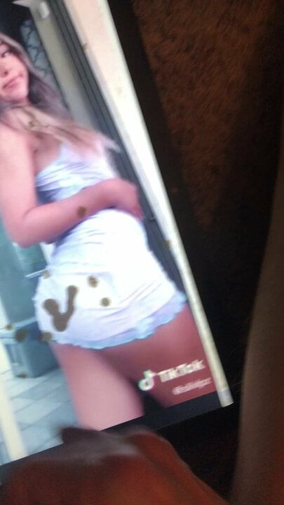 Silvania cum tribute