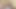 Behaarte bären-party (teaser)