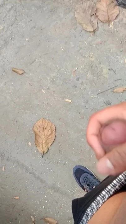 Public dick flash