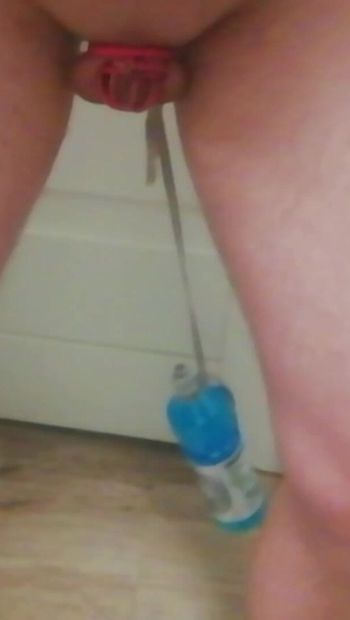Uma garrafa pesada amarrada a um plug anal. Inserção no cu e balançando