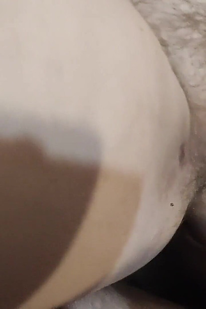 Hairy Pussy Fuck