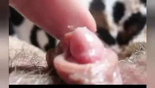 HUUUUUUGE МОКРЫЙ КЛИТОР ДЛЯ ПАПОЧКИ, ПОДБОРКА