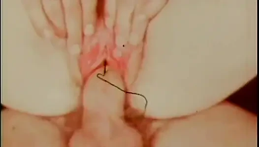 Sweet young vintage girl take a big cock