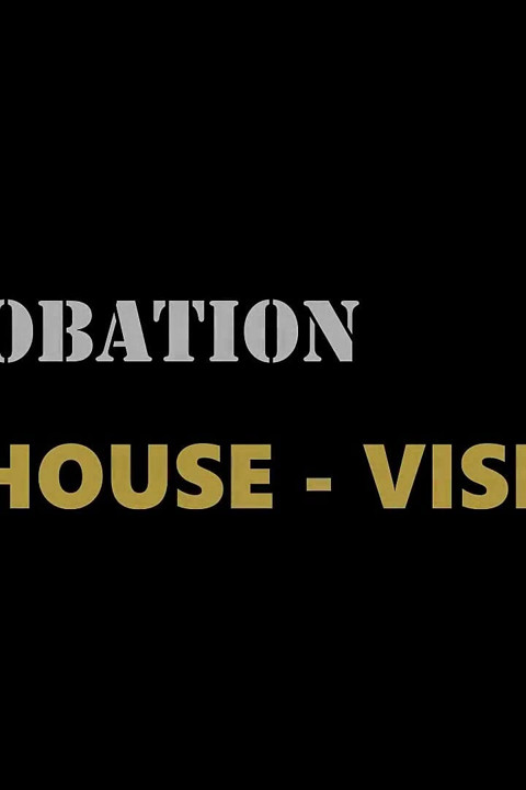 Probation Visit