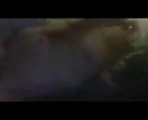 Kerri - грязная маленькая шлюха