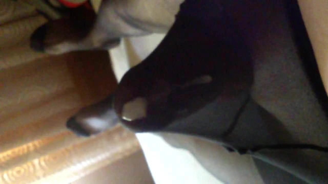 cum in black pantyhose  .... svrsavanje u najlonkama