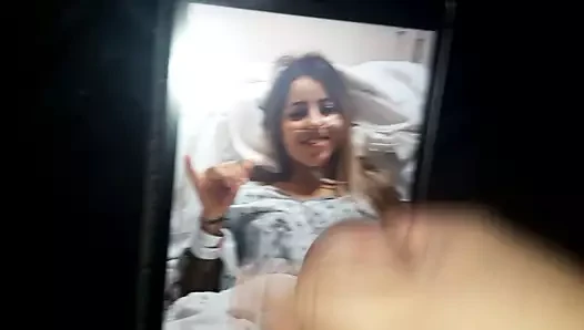 Leticia bufoni - boşalmak haraç