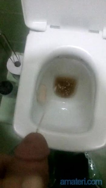 My pissing Toilet