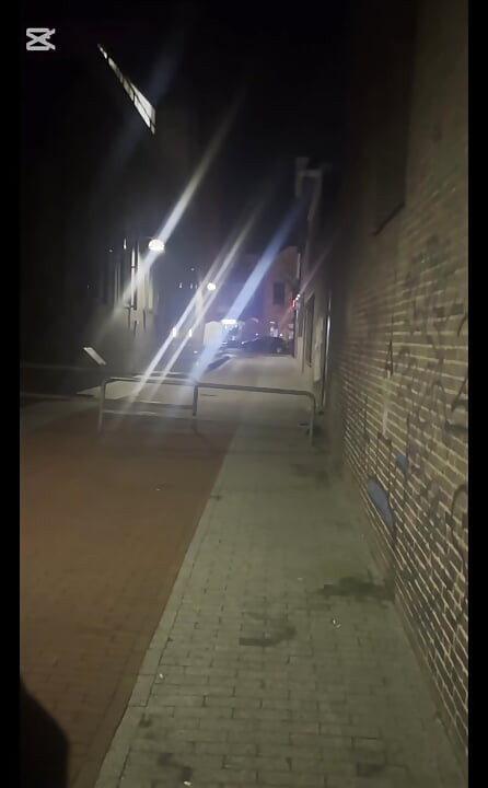 Public Dickflash Compilation