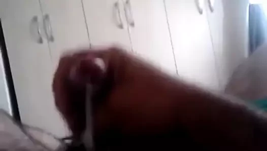 Mastürbasyon yapan ayı