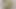 Zentai banana penis thong photo shooting