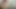 Heißer Kerl im Höschen fickt zahme Muschi und spritzt daraus - Masturbator Cumshot