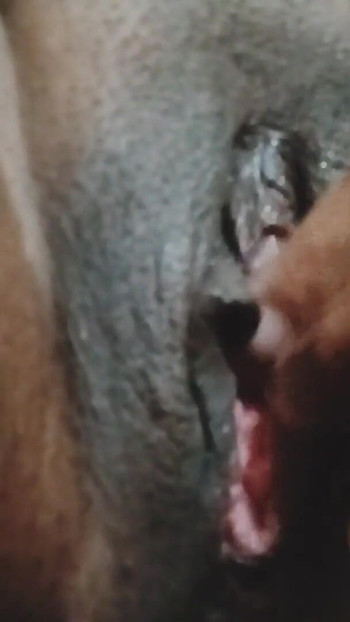 Desi Bhabi Loray ki Talash mei Piyasi Phudi | Clip 1