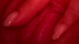 אשתי תמיד רוצה זין