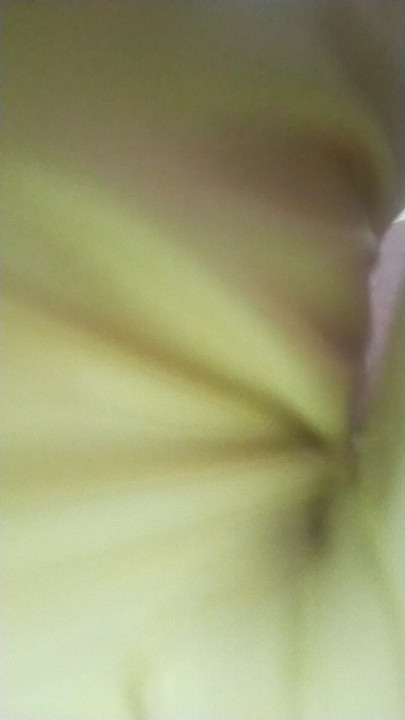latex gloves