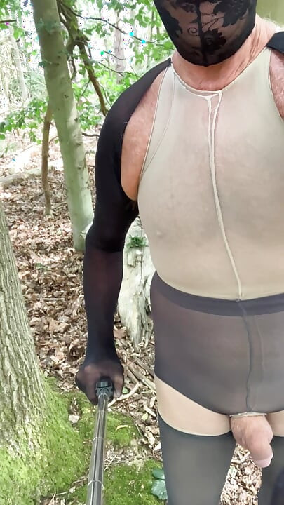 A walk in the woods.