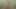 Blonde TS 69&Facecum ++Toef