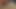 アナルプラグでミルフのアナルとチンポが膣で突かれる