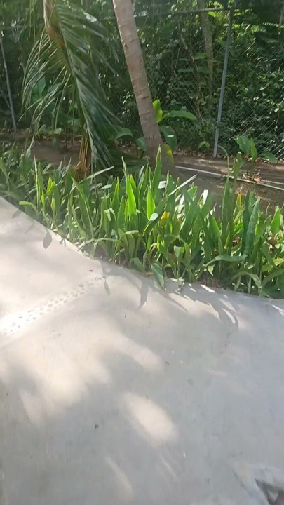 A lil slice of Paradise - Caribbean joy and delights | Clip 2