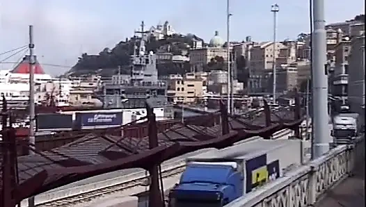 Kristal taşaklı kuşta Angelica Bella üretimi