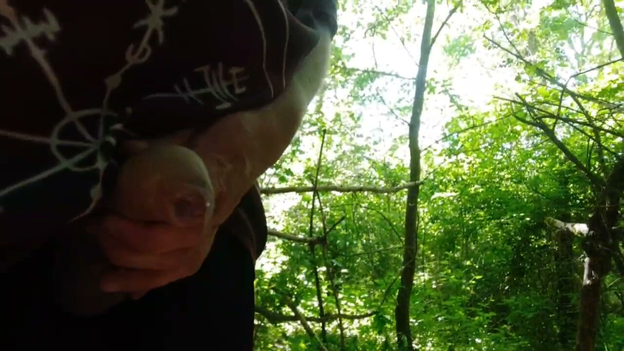 Cumshot in the woods