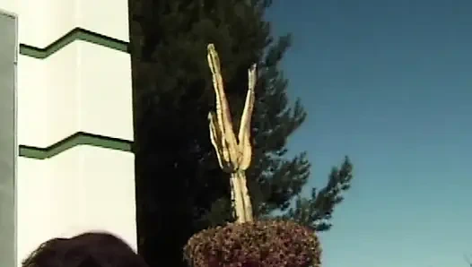 Heiße College-Geständnisse am Pool