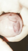 Pregled videozapisa