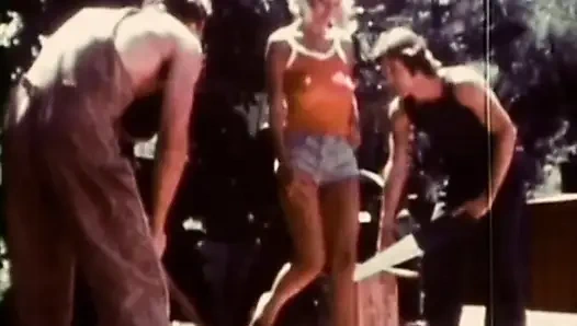 Rhonda Jo Petty Dan Seka Pelacur Erotis