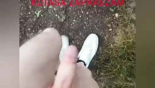 Zadbany kutas