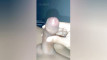 Pregled videozapisa