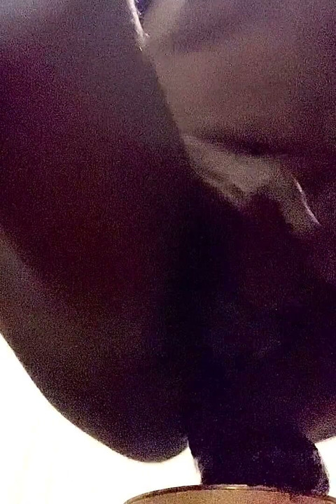 Random Clip 10/5/22