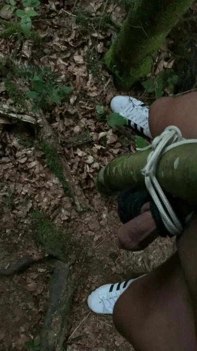 cbt
