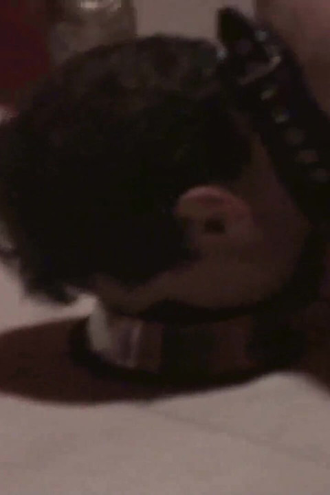 Walking her pets, feeding them her piss