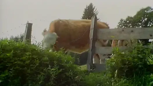 Busty German babe enjoys stunning anal outdoor orgy